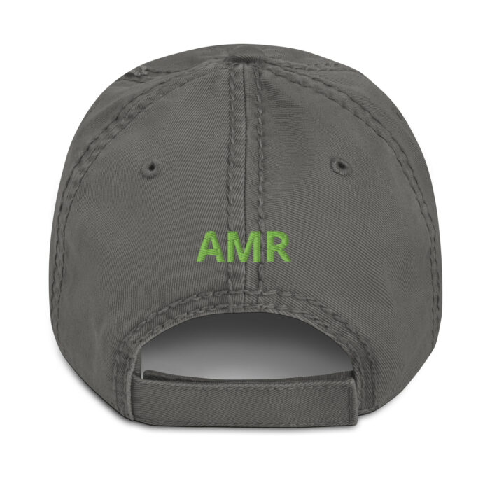 AMR - Distressed Dad Hat - Image 9