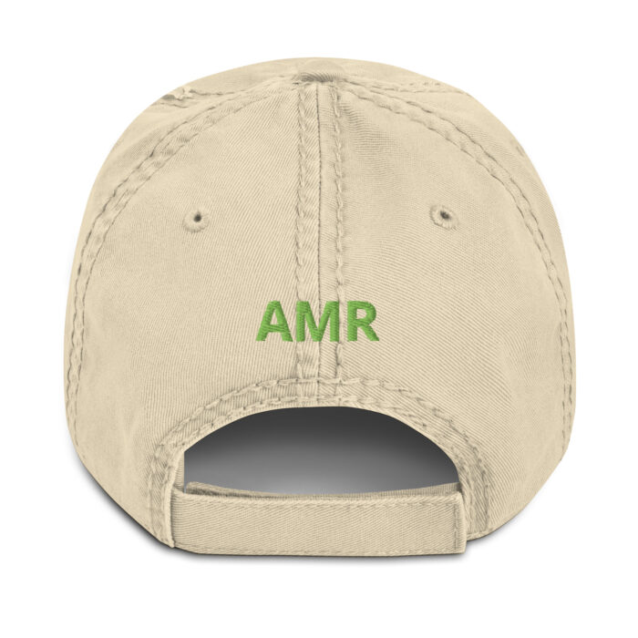 AMR - Distressed Dad Hat - Image 11